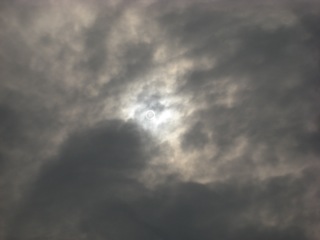 IMG_0019.jpg