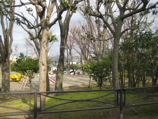 IMG_0648.jpg
