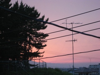 IMG_1639.jpg