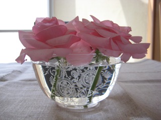 IMG_1897.jpg