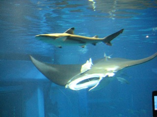 IMG_2041.jpg