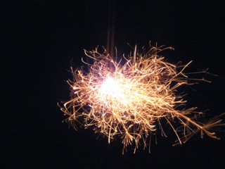 IMG_2195.jpg