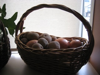 IMG_2483.jpg