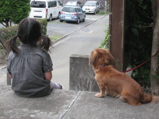 IMG_2599.jpg