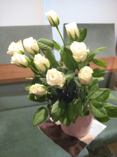 IMG_2681.jpg