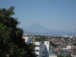 IMG_2752.jpg