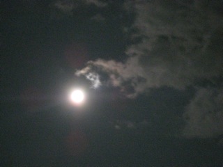 IMG_2930.jpg