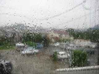 IMG_3000.jpg