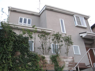 IMG_3399a.jpg