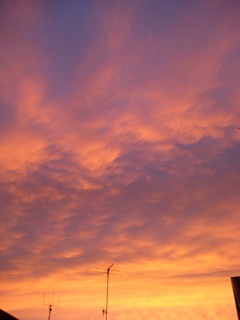 IMG_3415.jpg