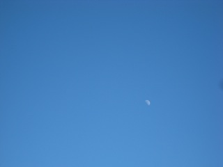 IMG_4066.jpg