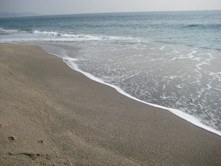 IMG_4470.jpg