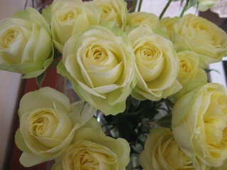 IMG_4776.jpg