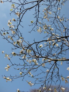 IMG_4948.jpg