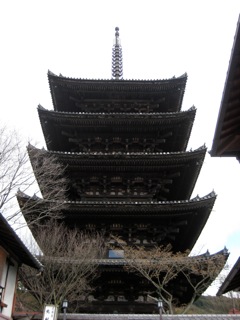 IMG_5005.jpg