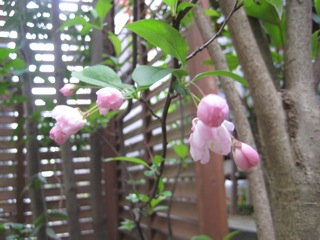 IMG_5117.jpg