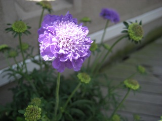 IMG_5541.jpg