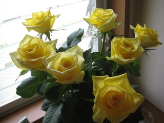 IMG_5600.jpg