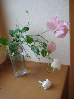 IMG_5725.jpg