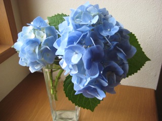 IMG_5738.jpg