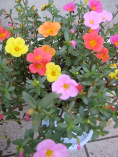 IMG_6399.jpg