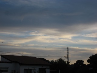 IMG_6414.jpg