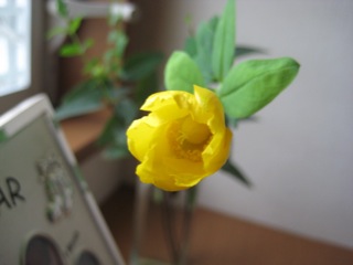 IMG_6418.jpg