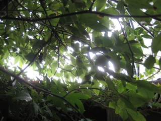 IMG_6422.jpg