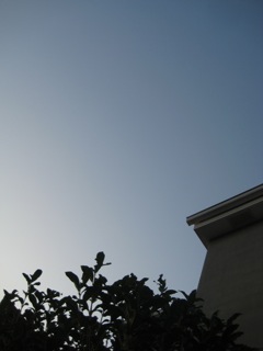 IMG_6441.jpg