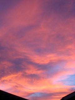 IMG_6450.jpg