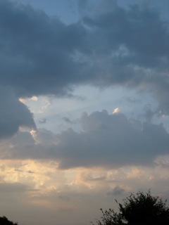 IMG_6466.jpg