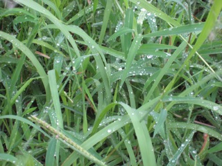 IMG_6484.jpg