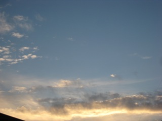 IMG_6493.jpg