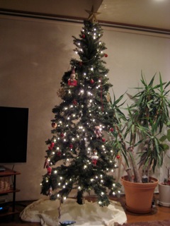 IMG_6824.jpg