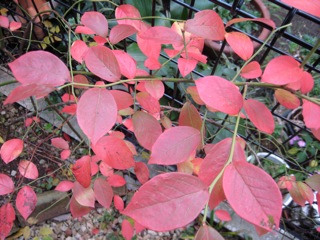 IMG_6849.jpg