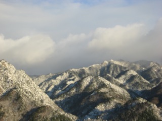 IMG_6998.jpg