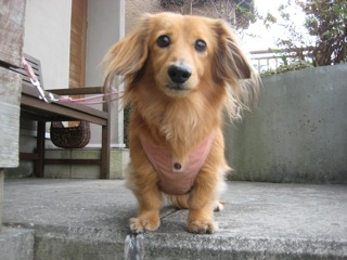 IMG_7171あ.jpg