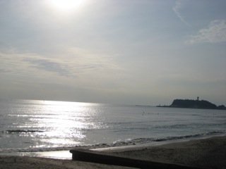 IMG_7316.jpg