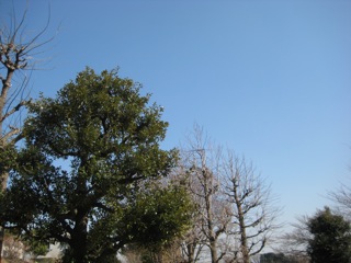 IMG_7384.jpg