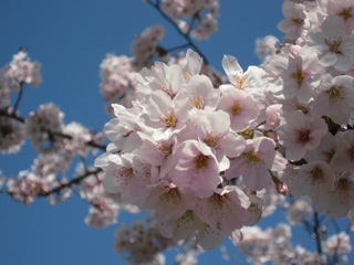 IMG_7829.jpg