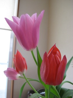 IMG_7897.jpg