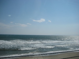 IMG_7905.jpg