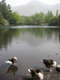 IMG_8012.jpg