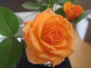 IMG_8147.jpg