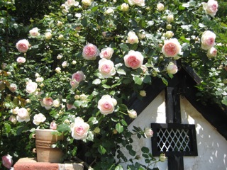 IMG_8181あ.jpg