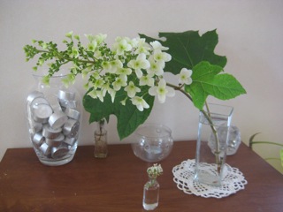 IMG_8253.jpg