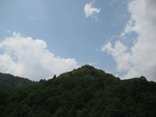 IMG_8609.jpg