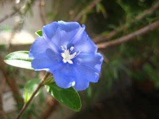 IMG_8894.jpg