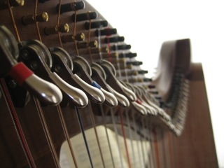 IMG_9539.jpg