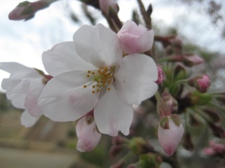 IMG_9819.jpg